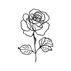 A minimalist, black single line drawing of a rose, white background. rose lineart handrawn vector illustration