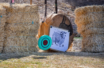Medieval archery equipment, target for shooting, bow and arrow 