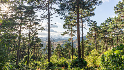 Fototapeta premium Pyrenees mountains in northern Spain
