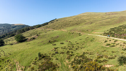 Fototapeta premium Pyrenees mountains in northern Spain