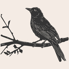 Vector woodcut style illustration of a bird on a branch, a simple black and white vector illustration