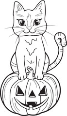 pumpkin cat. Collection kiiten with pumkin. Fuuny pets. Happy halloween