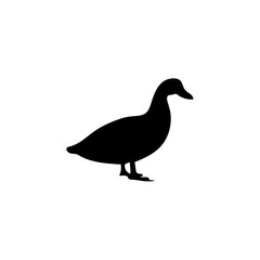 Duck silhouette