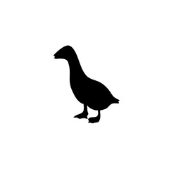 Duck silhouette