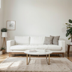 modern living room interior design with white sofa