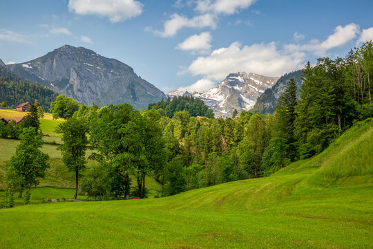 Santis mountain range with green trees and plants under sky
