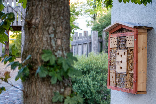 Insect hotel mounted on wall near tree