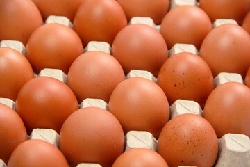 Eggs or chicken eggs in cardboard box isolated on white background