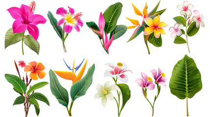 Set of vibrant tropical blooms including bougainvillea, plumeria, and bird of paradise, isolated on transparent background