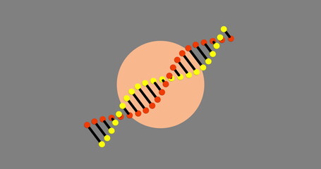 Image of dna rotating over grey background - Powered by Adobe
