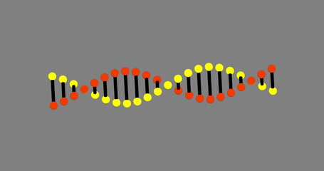 Image of dna rotating over grey background