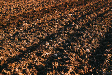 Ridge and furrow pattern in ploughed soil of an agricultural field