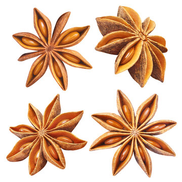 Set of delicious star anise, cut out