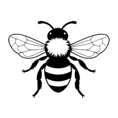 Simple vector illustration of Bee drawing for kids colouring page