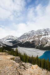 Naklejka premium Summer landscape in Peyto lake, Banff National Park, Canada