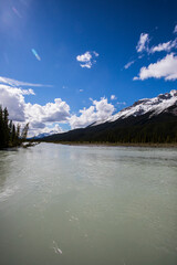 Summer landscape in Jasper National Park, Canada