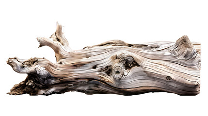 Fototapeta premium Driftwood on transparent background