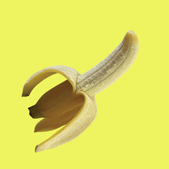 banana peel, vector illustrstor