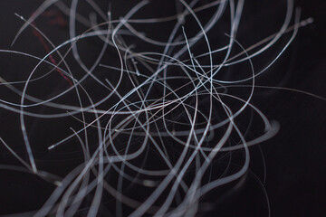 Gray hair that falls from the head by pulling hair.