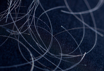 Gray hair that falls from the head by pulling hair.