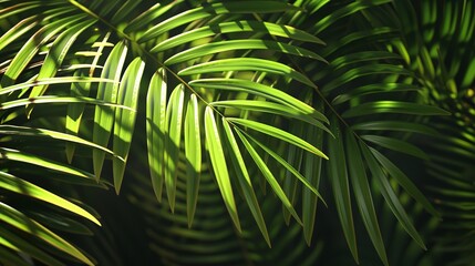 Tropical Green Palm Leaf Cut Out 8K: Realistic

