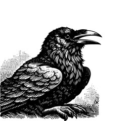Obraz premium raven black and white illustration logo vector 