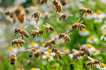 A swarm of bees buzzing around a riot of blooming flowers