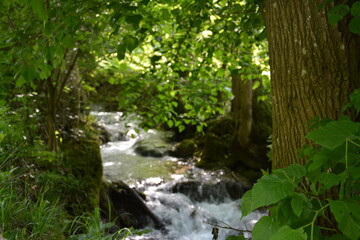 Photographs in the nature of Germany. The Urach Waterfalls are located in the town of Bad Urach.
