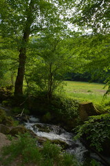 Photographs in the nature of Germany. The Urach Waterfalls are located in the town of Bad Urach.