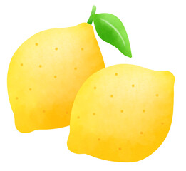 ふたつのレモンのイラスト