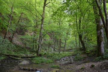 Photographs in the nature of Germany. The Urach Waterfalls are located in the town of Bad Urach.