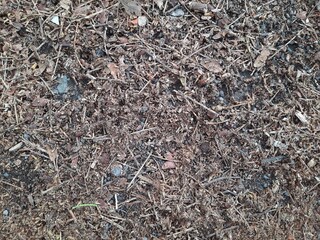 pile of soil