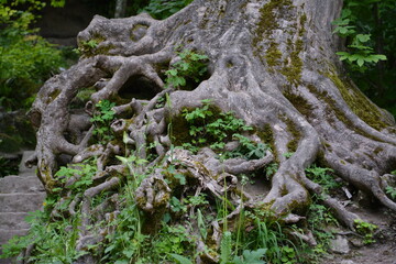 Photographs in the nature of Germany. The Urach Waterfalls are located in the town of Bad Urach.