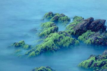宮崎県串間市の高松海水浴場の沖合で、早朝、青海苔のついている岩