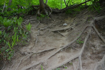 Photographs in the nature of Germany. The Urach Waterfalls are located in the town of Bad Urach.