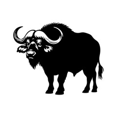 Cape Buffalo Vector Silhouette for Wildlife Designs and Nature Enthusiasts- Cape Buffalo Illustration- Minimalist Cape Buffalo Vector.