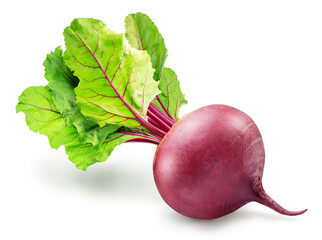 Red beetroot on stem with green leaves on white background. File contains clipping path.