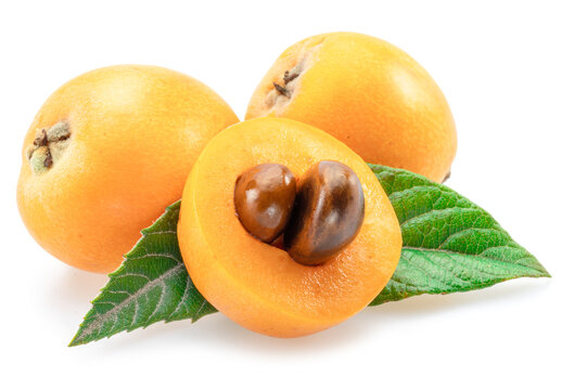 Ripe perfect loquat fruits with green leaves isolated on white background.