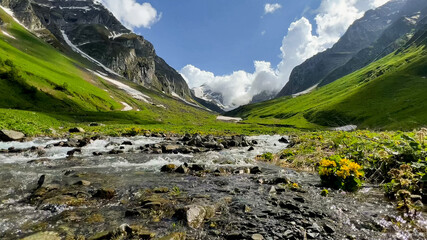 Vibrant summer alpine landscape with crystal-clear mountain stream, lush greenery, and majestic...