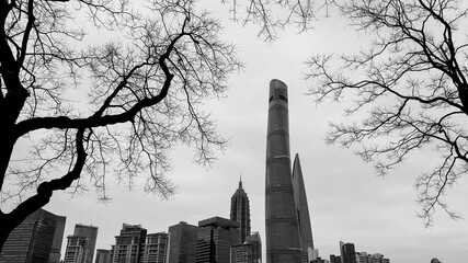 Monochrome urban skyline with silhouetted leafless trees framing skyscrapers, suitable for concepts...