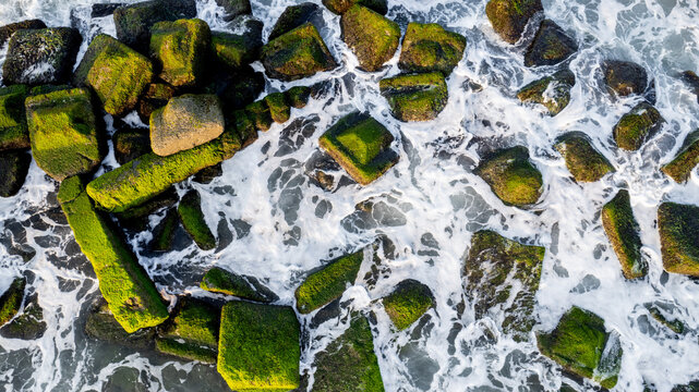 Aerial view of coastal defenses with moss-covered tetrapods and groynes against eroding waves, suitable for environmental studies and World Oceans Day