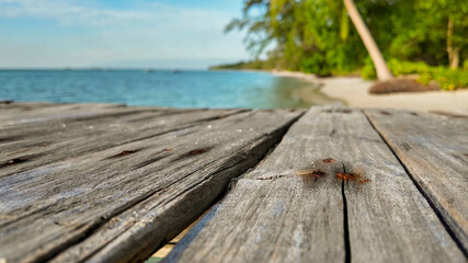 Close-up of weathered wooden boards of a jetty leading to a tranquil beach, depicting travel,...