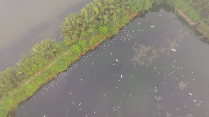 Lakes for growing fish in Vietnam, aerial view