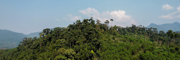 Obraz premium Aerial view of a dense forest canopy showing the diverse texture of greenery, relevant for concepts like Earth Day, conservation, and environmentalism