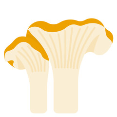 chanterelle mushroom flat icon
