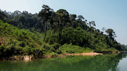 Tranquil tropical river winding through a lush rainforest, ideal for themes of ecotourism, Earth Day, and environmental conservation