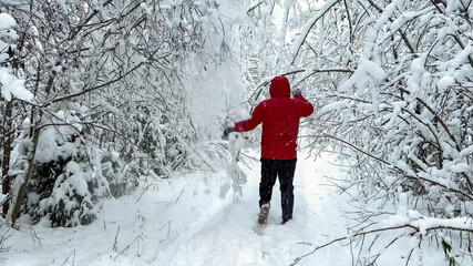 Person in red jacket enjoying a solitary winter walk through a snowy forest, evoking the serene beauty of Christmas and winter holidays