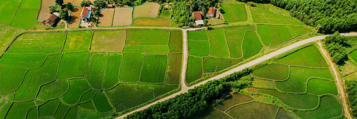 Aerial view of verdant rice terraces with a meandering road, showcasing sustainable agriculture and...