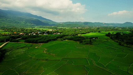 Aerial view of verdant rice terraces with a meandering road, showcasing sustainable agriculture and...