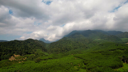 Fototapeta premium Aerial view of verdant rice terraces with a meandering road, showcasing sustainable agriculture and rural beauty, perfect for Earth Day and World Environment Day themes
